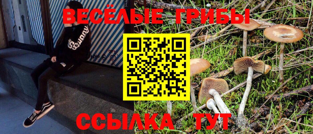Галлюциногенные грибы GOLDEN TEACHER  Вход с VPN  Трёхгорный  Псилоцибиновые грибы Magic Shrooms 